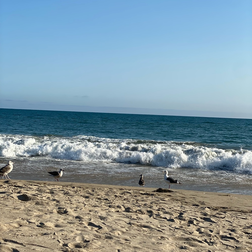 Meet your Posher, Ana